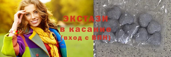 гидра Краснослободск