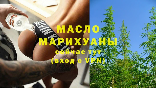 гидра Краснослободск
