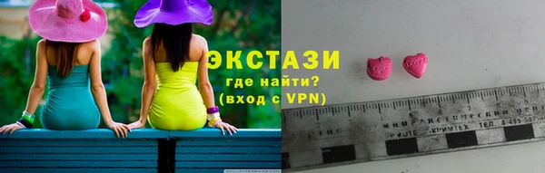 гидра Краснослободск