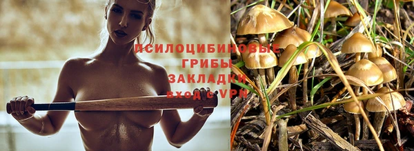 гидра Краснослободск