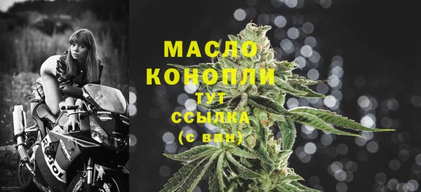 гидра Краснослободск